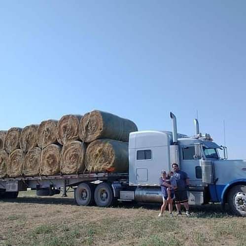 Christmas Alfalfa Hay Giveaway ( Hay And Forage )