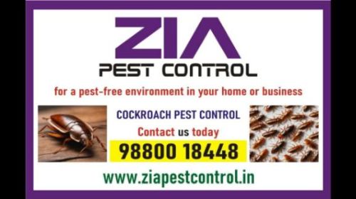 Cockroach Pest Cleaning Service | Amc Is Also Available Price List | 